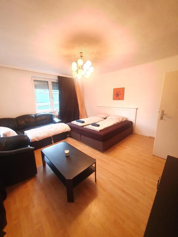 Breathtaking Near Danube River /w Garden And Parking * Wien